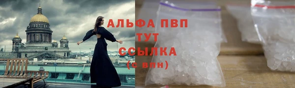 ГАЛЛЮЦИНОГЕННЫЕ ГРИБЫ Гусиноозёрск