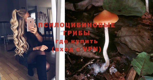 spice Кондопога
