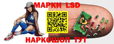 шишки Заволжье