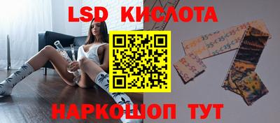 шишки Заволжье