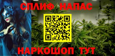 шишки Заволжье