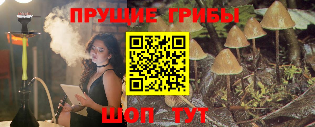 Галлюциногенные грибы мухоморы  закладки  Кубинка  Вход с VPN 